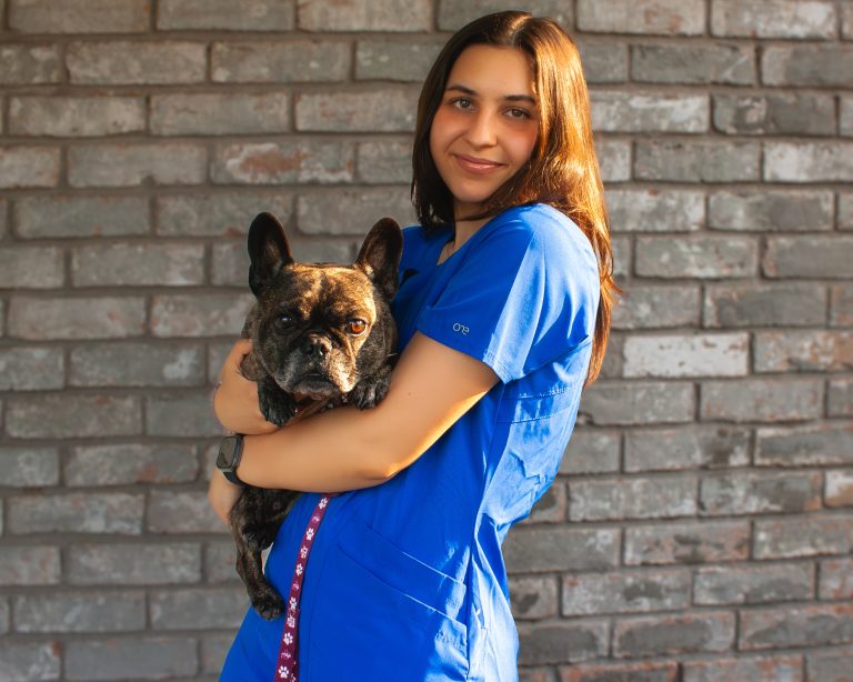 UMO Graduate Mikaela Lawler Prepares for Veterinary School at Texas A&M