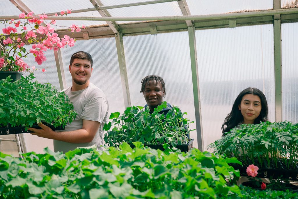 UMO Ag students in greenhouse
