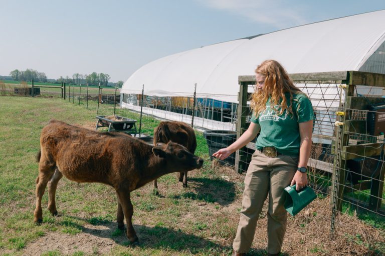 A Passion for Animals Leads UMO Student Harley Marie Haley to NCSU Vet School